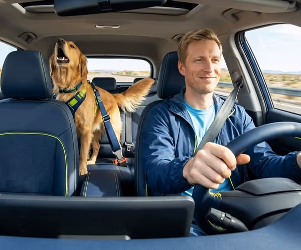 Pareja con ordenador